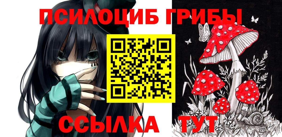 Псилоцибиновые грибы Magic Shrooms Курчалой