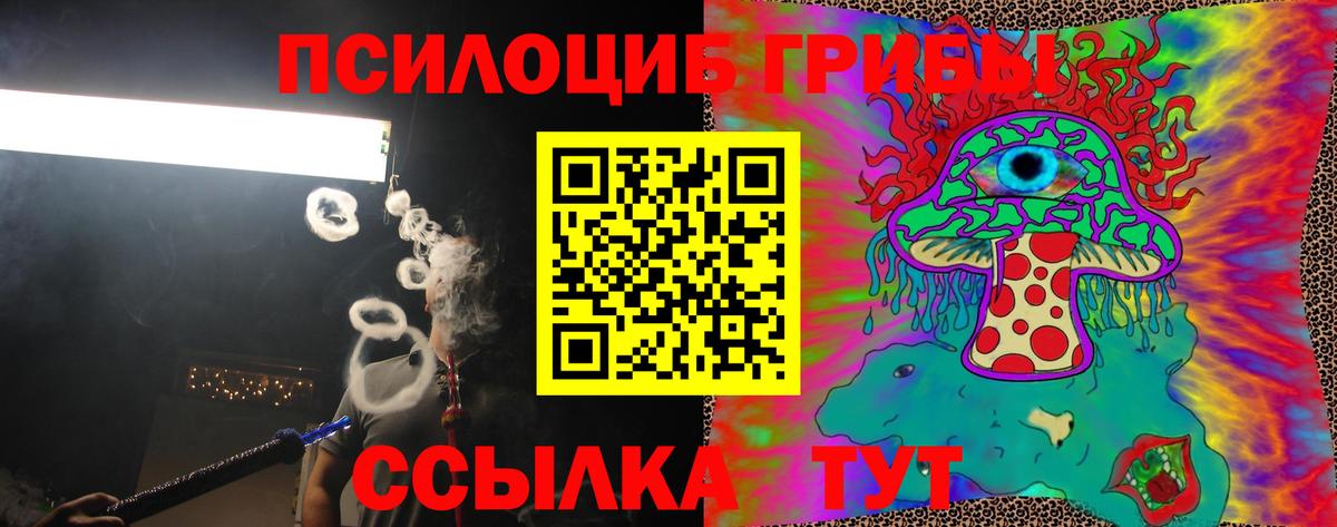 Курчалой  Псилоцибиновые грибы прущие грибы  Вход с VPN 