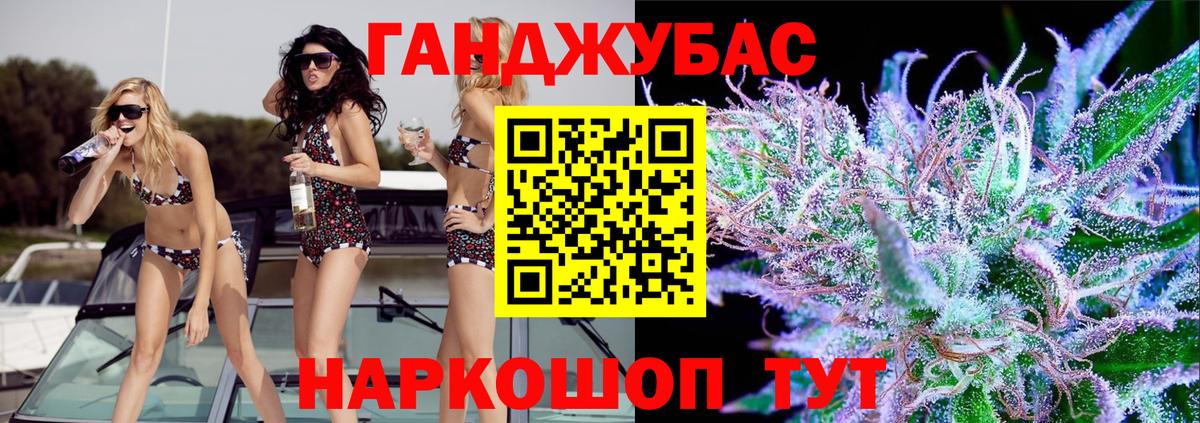 Марихуана сатива Курчалой